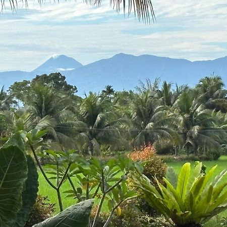 Sumatra Expedition Lodge Bukit Lawang Bagian luar foto