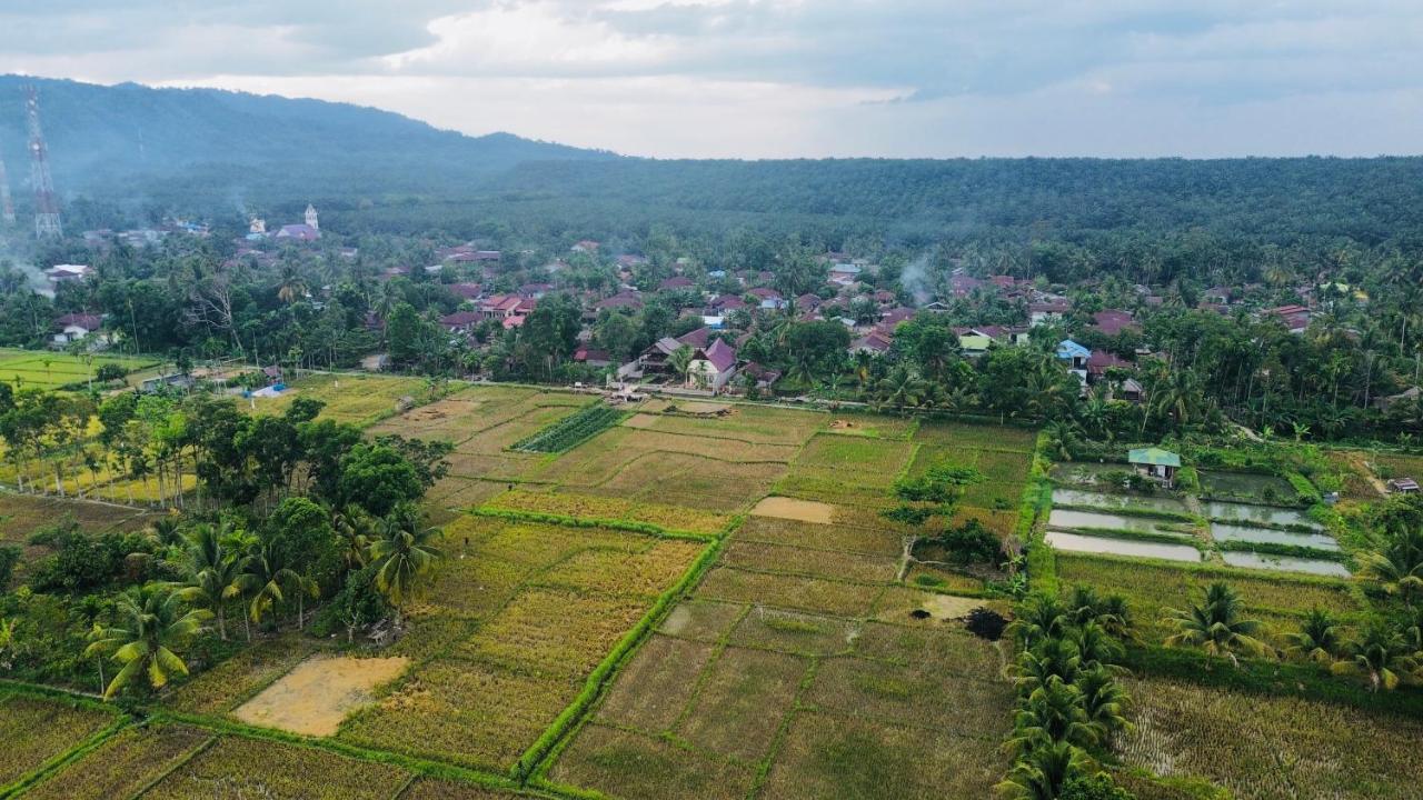 Sumatra Expedition Lodge Bukit Lawang Bagian luar foto