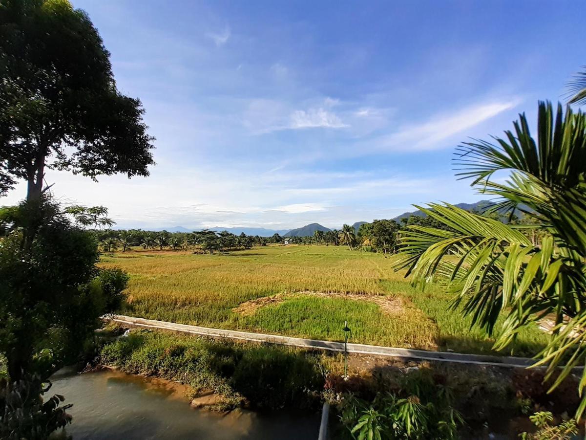 Sumatra Expedition Lodge Bukit Lawang Bagian luar foto