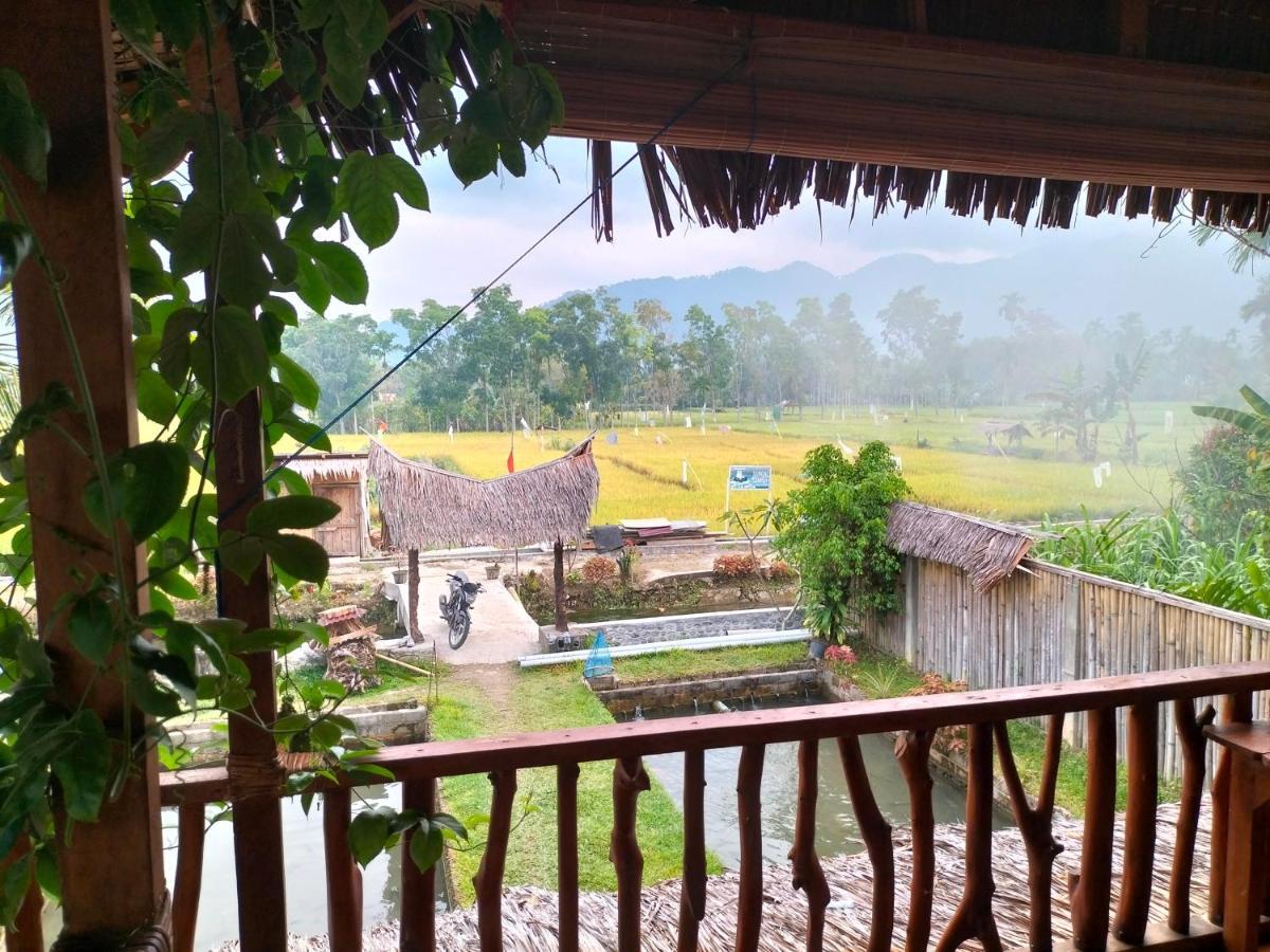 Sumatra Expedition Lodge Bukit Lawang Bagian luar foto