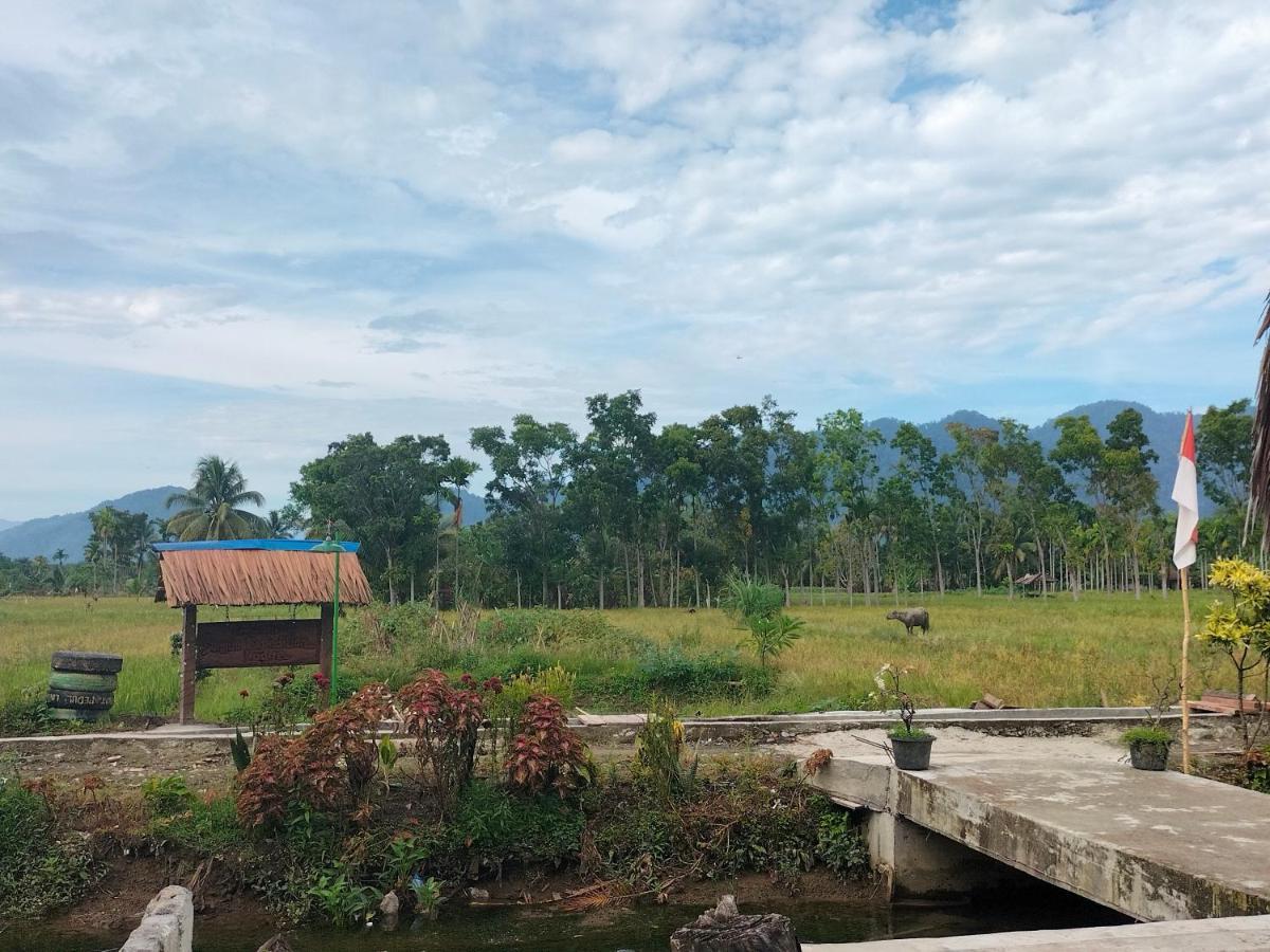 Sumatra Expedition Lodge Bukit Lawang Bagian luar foto