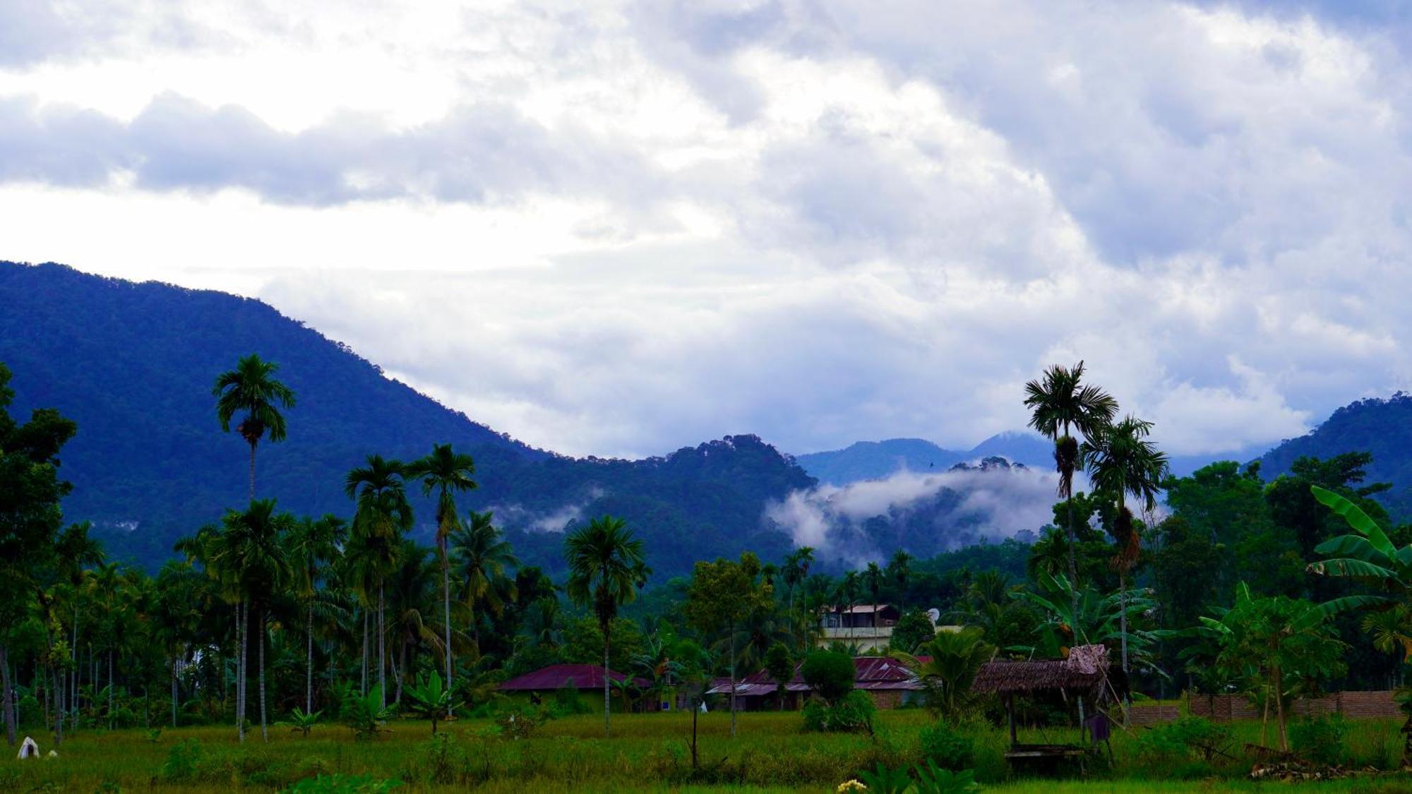 Sumatra Expedition Lodge Bukit Lawang Bagian luar foto