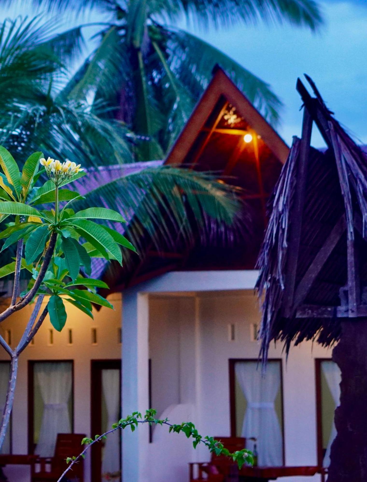 Sumatra Expedition Lodge Bukit Lawang Bagian luar foto