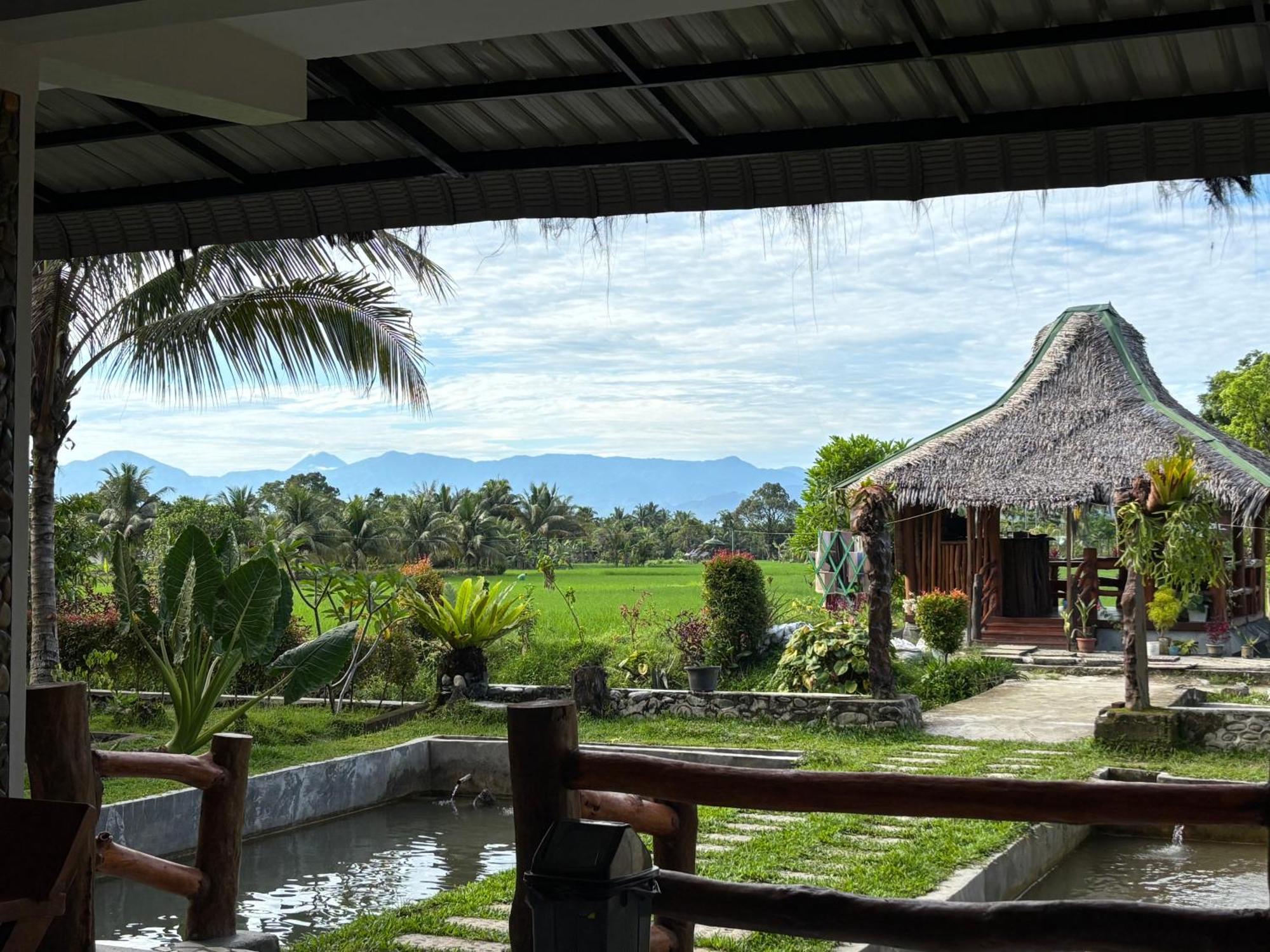 Sumatra Expedition Lodge Bukit Lawang Bagian luar foto